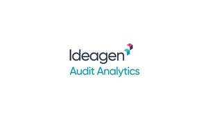 Logo der Datenbank Audit Analytics